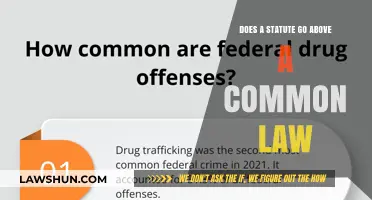 Statute vs Common Law: Who Wins?