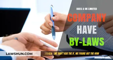 What Are UK Limited Company Bylaws?