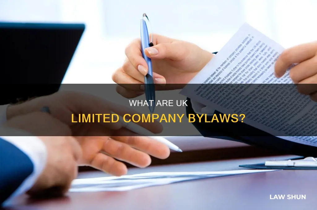 does a uk limited company have by-laws