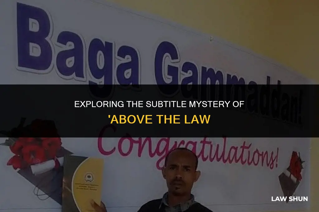 does above the law have subtitles