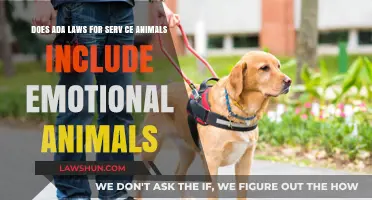 Emotional Support Animals: Are They Covered Under ADA Service Animal Laws?