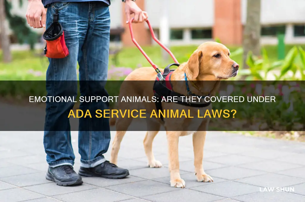 does ada laws for serv ce animals include emotional animals