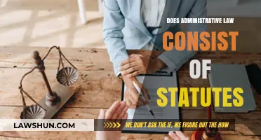 Exploring the Relationship Between Statutes and Administrative Law
