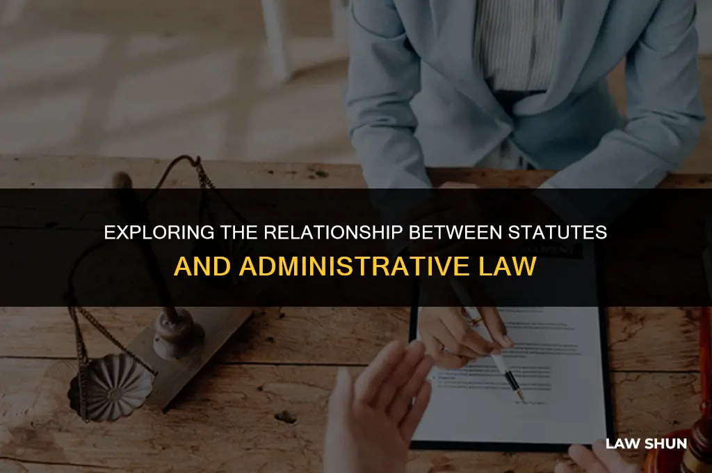does administrative law consist of statutes