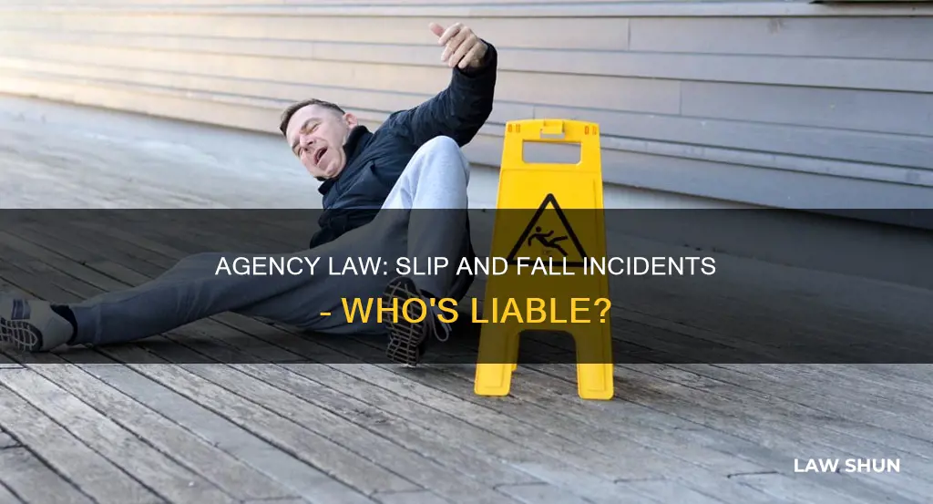 does agency law apply for slip and fall incident