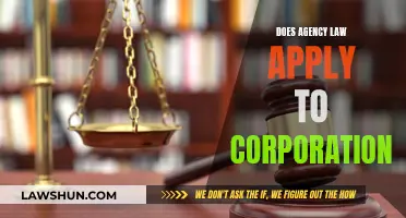 Agency Law: Corporate Application and Its Legal Implications