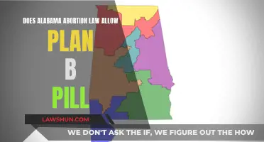 Alabama's Abortion Law: Plan B Pill's Future