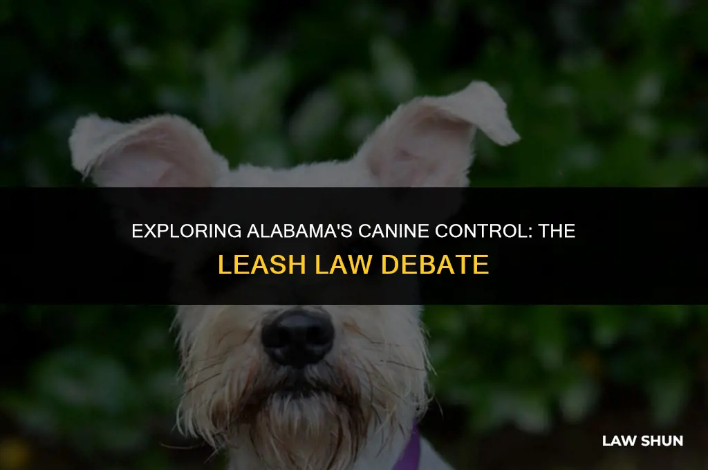 does alabama have a leash law