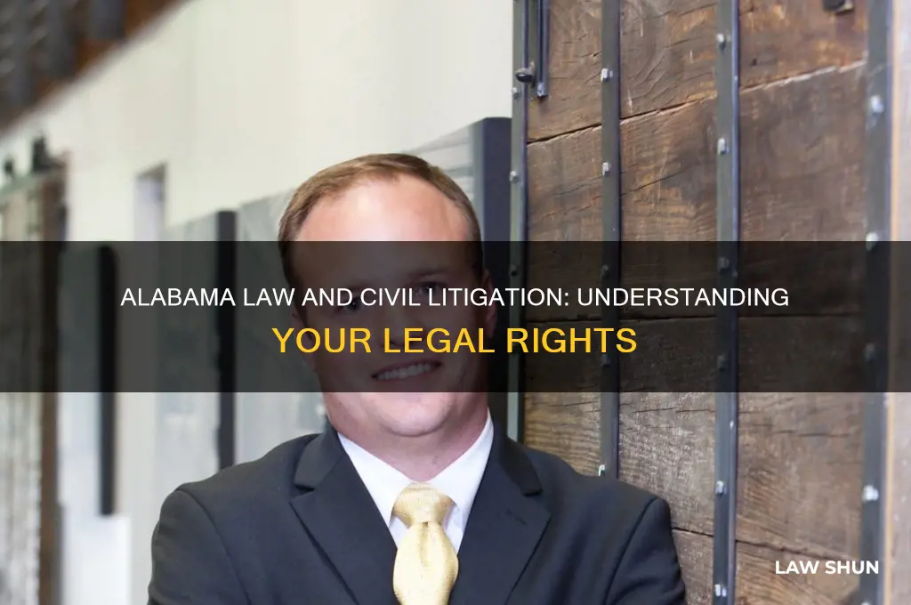 does alabama law guarantee civil litigation
