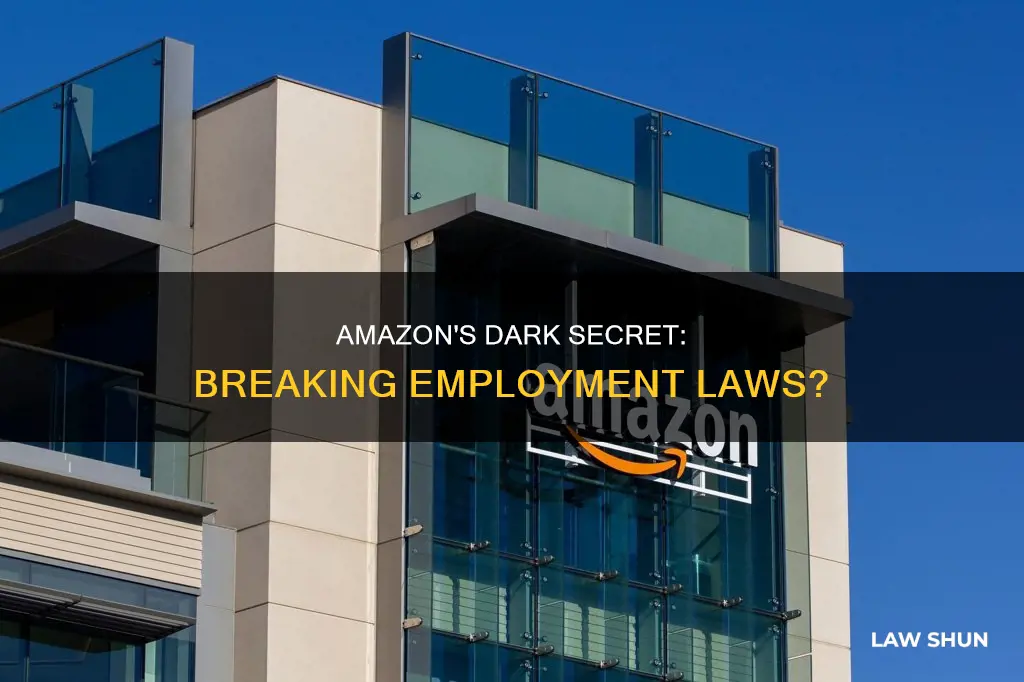 does amazon knowingly break employment laws