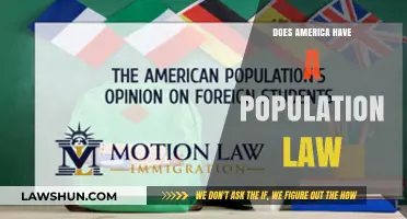 Exploring America's Population Policies: Myths, Realities, and Implications