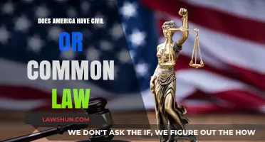 Civil or Common Law: What's America's Legal System?