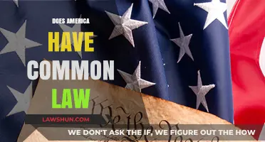 Common Law in America: A Legal Overview