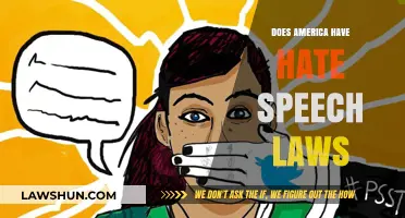 Exploring the Legal Landscape of Hate Speech in America