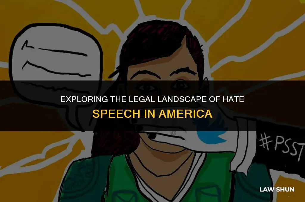 does america have hate speech laws