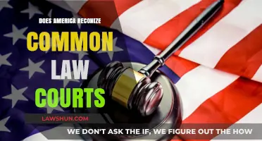 Common-Law Courts: Are They Recognized in the U.S.?