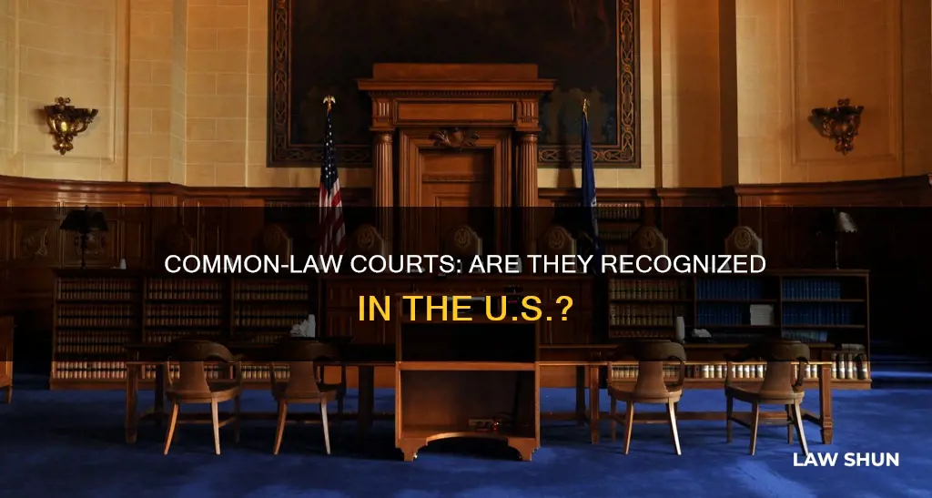 does america reconize common law courts