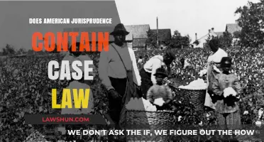 American Case Law: A Jurisprudential Study