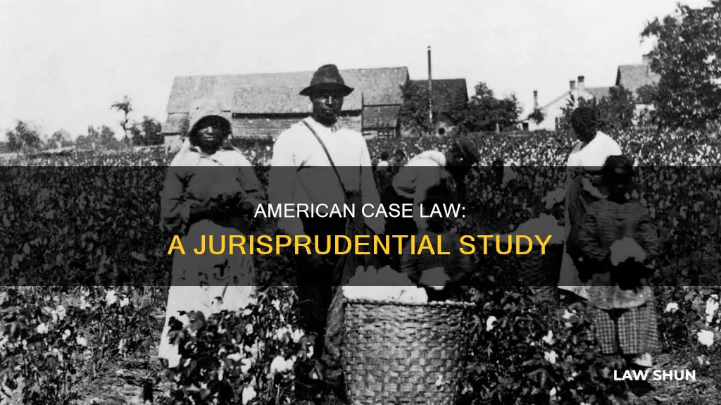 does american jurisprudence contain case law