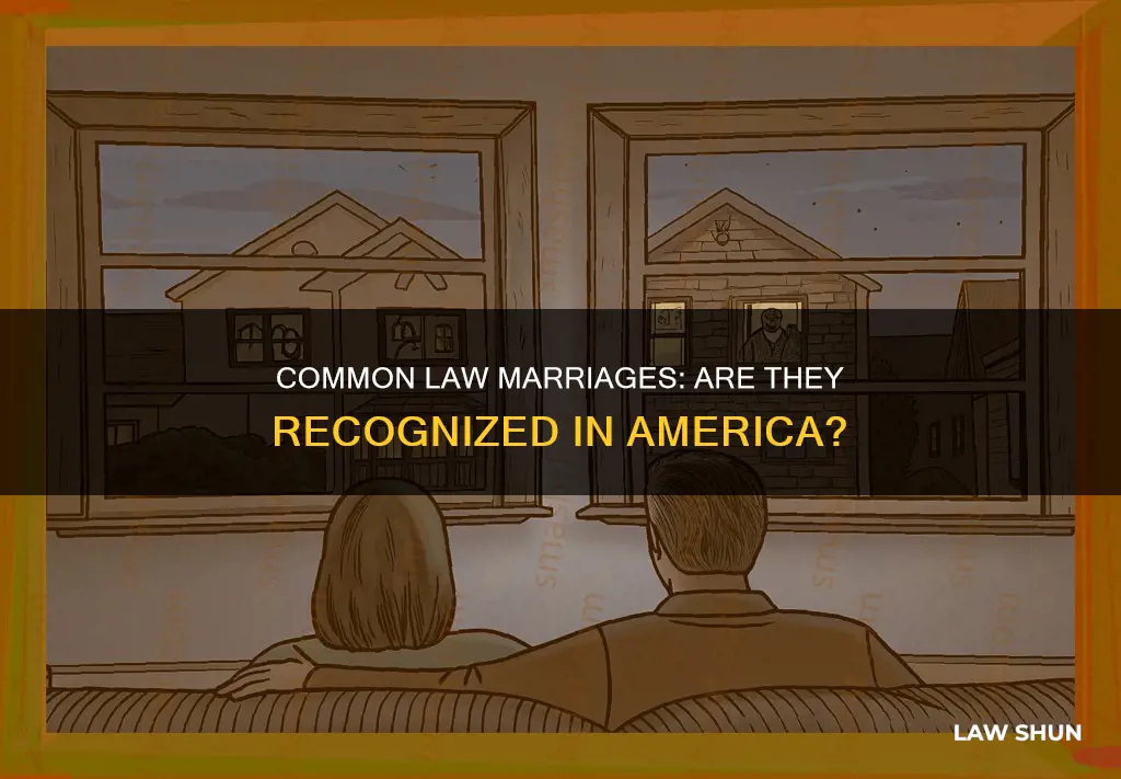 does american recognize common law