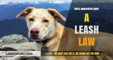 Exploring Anacortes: Understanding the City's Leash Law Requirements