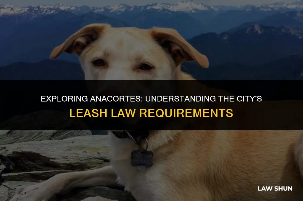 does anacortes have a leash law