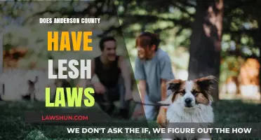 Exploring Leash Laws in Anderson County: A Comprehensive Guide