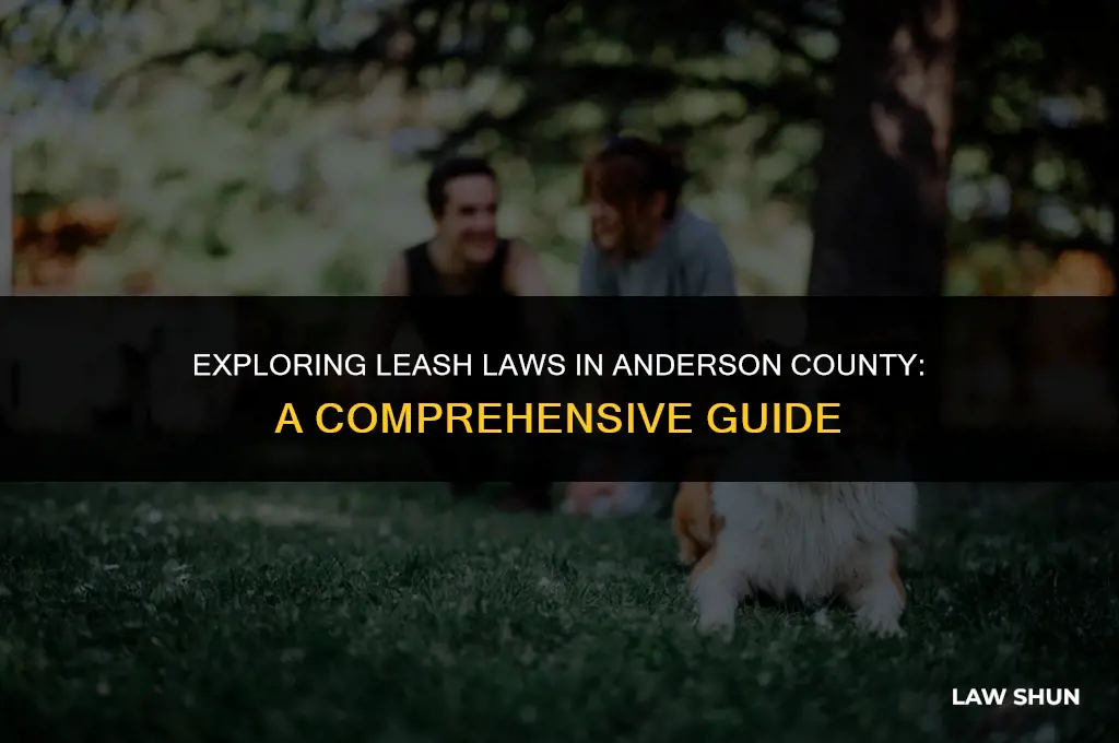 does anderson county have lesh laws