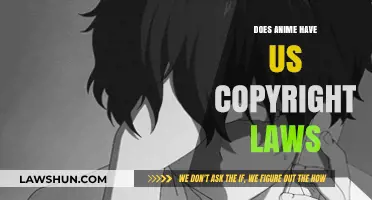 Anime and US Copyright Laws: What You Need to Know