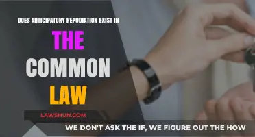 Anticipatory Repudiation: Common Law's Stand on Contract Breach