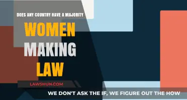 Women in Power: Which Nations Have Majority Female Lawmakers?