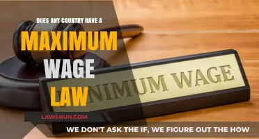 Exploring Global Wage Caps: Do Maximum Wage Laws Exist?