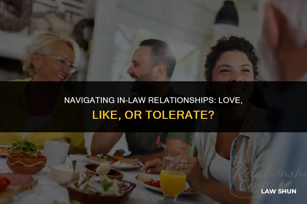 does anyone like their in laws