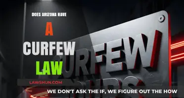 Exploring Arizona's Curfew Laws: What You Need to Know