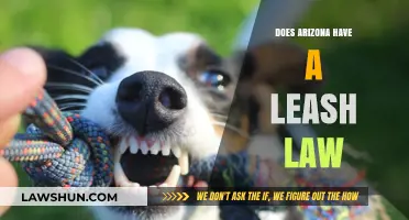 Exploring Arizona's Leash Laws: What Every Dog Owner Should Know