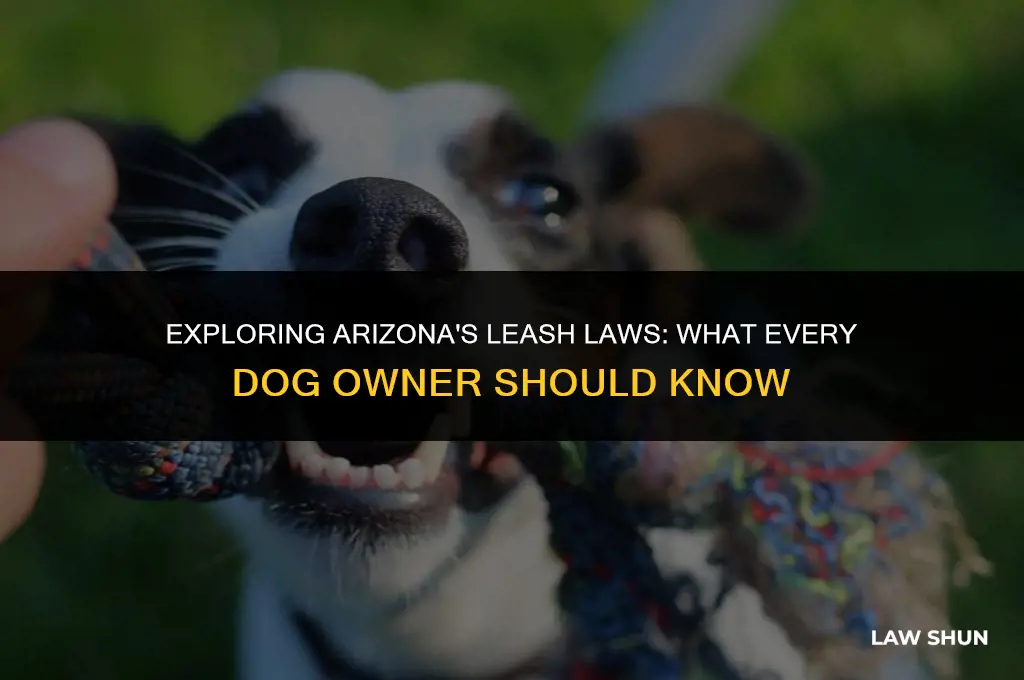 does arizona have a leash law
