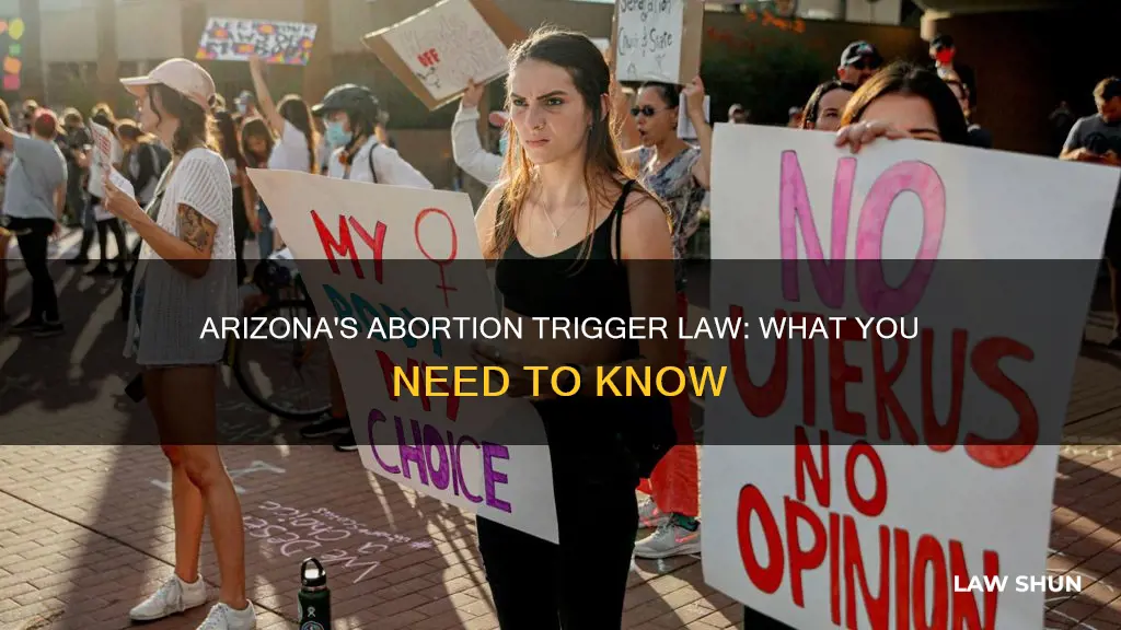 does arizona have a trigger law for abortion