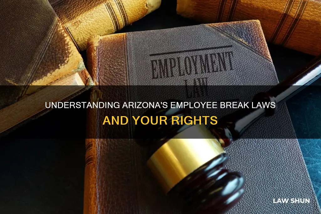 does arizona have laws on employee breaks