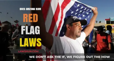 Understanding Arizona's Stance on Red Flag Laws: A Comprehensive Guide