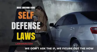 Understanding Arizona's Self-Defense Laws: A Comprehensive Guide