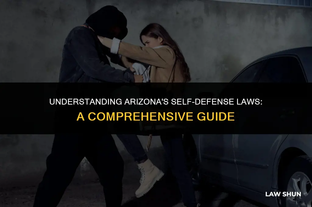 does arizona have self defense laws