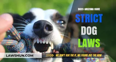 Understanding Arizona's Dog Laws: A Comprehensive Guide for Pet Owners