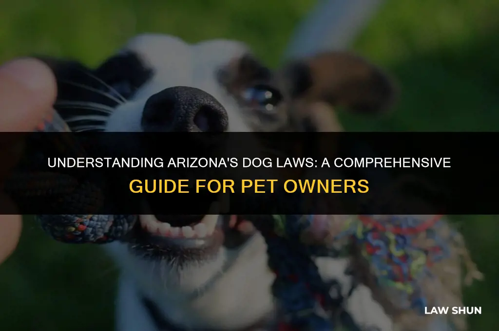 does arizona have strict dog laws