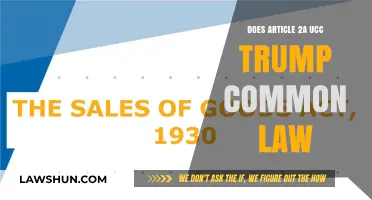UCC Article 2A: Overriding Common Law?