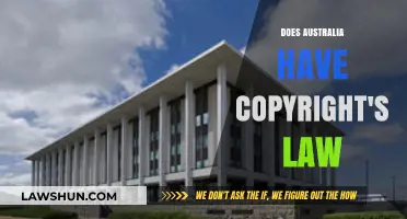 Understanding Australia's Copyright Laws: Protection, Enforcement, and Key Provisions