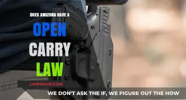 Arizona's Open Carry Law: Understanding Your Rights and Regulations