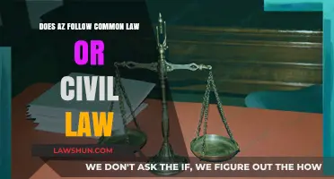 Arizona's Legal System: Common or Civil Law?