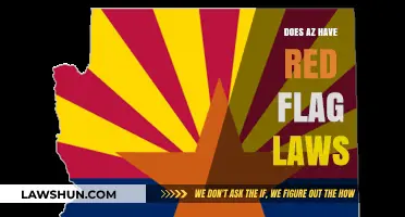 Exploring Arizona's Stance on Red Flag Laws: A Comprehensive Overview