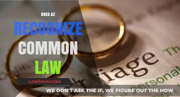 Common-Law Relationships: AZ's Recognition Rules