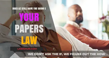 Arizona's 'Show Me Your Papers' Law: Still in Effect?